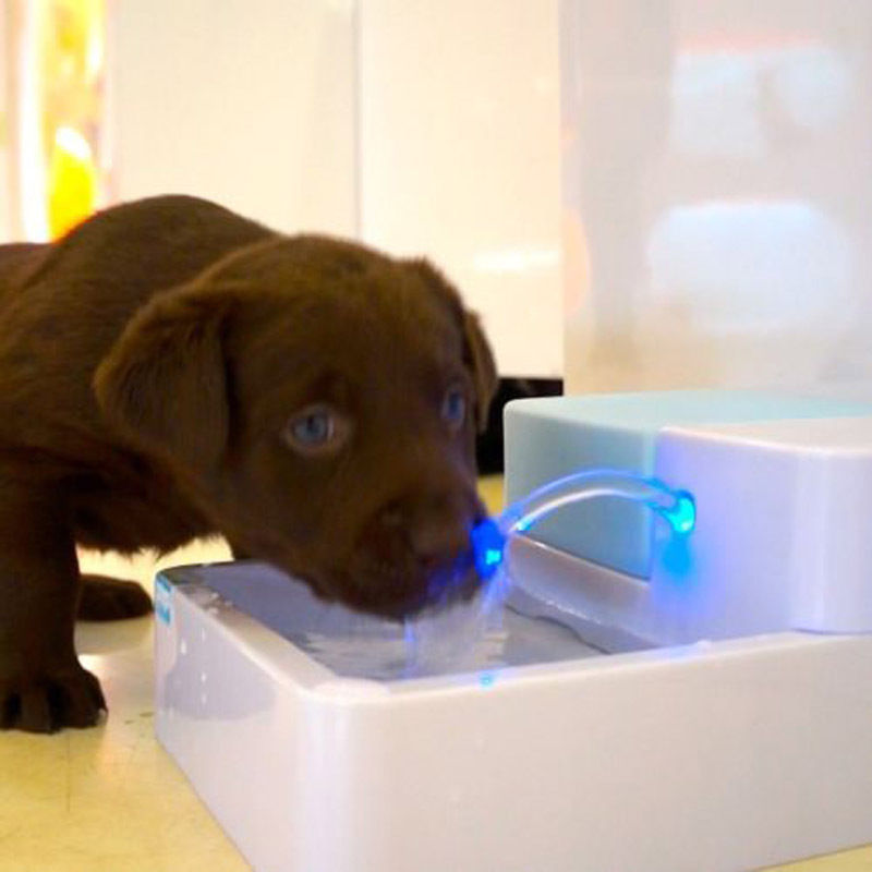Automatic Water Fountain For Pets