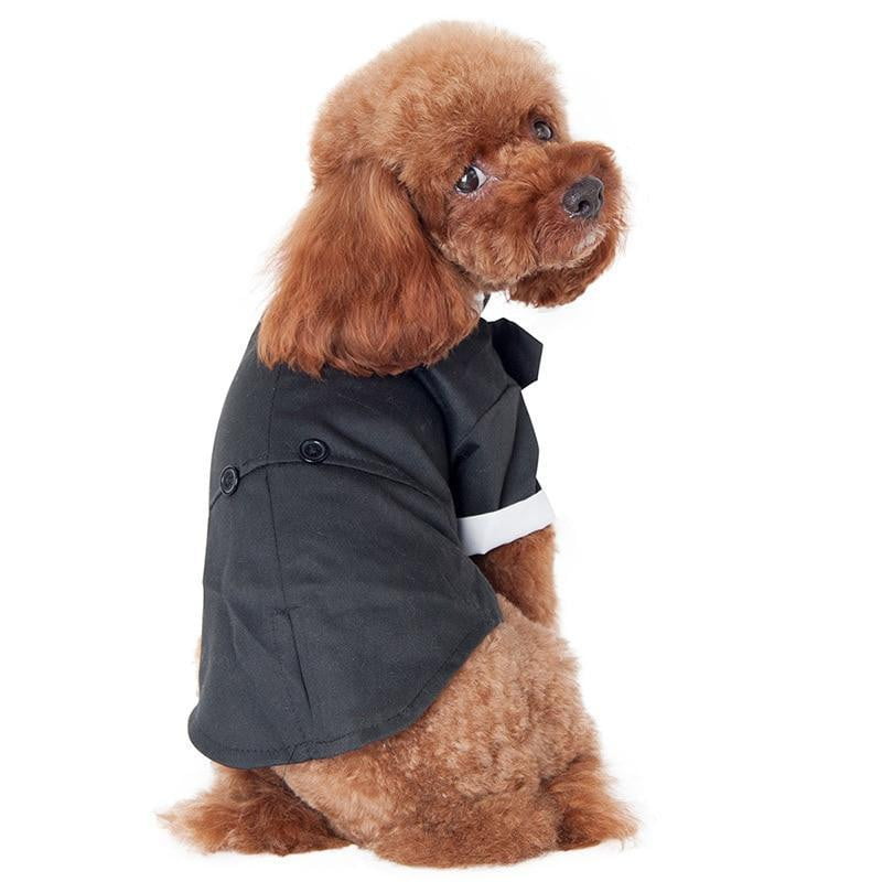 Prince Wedding Suit for dogs