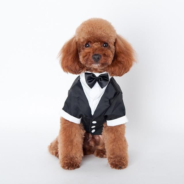 Prince Wedding Suit for dogs